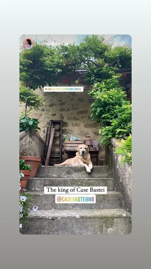 B&B La Terrazza Di Case Bastei Ventimiglia Italy