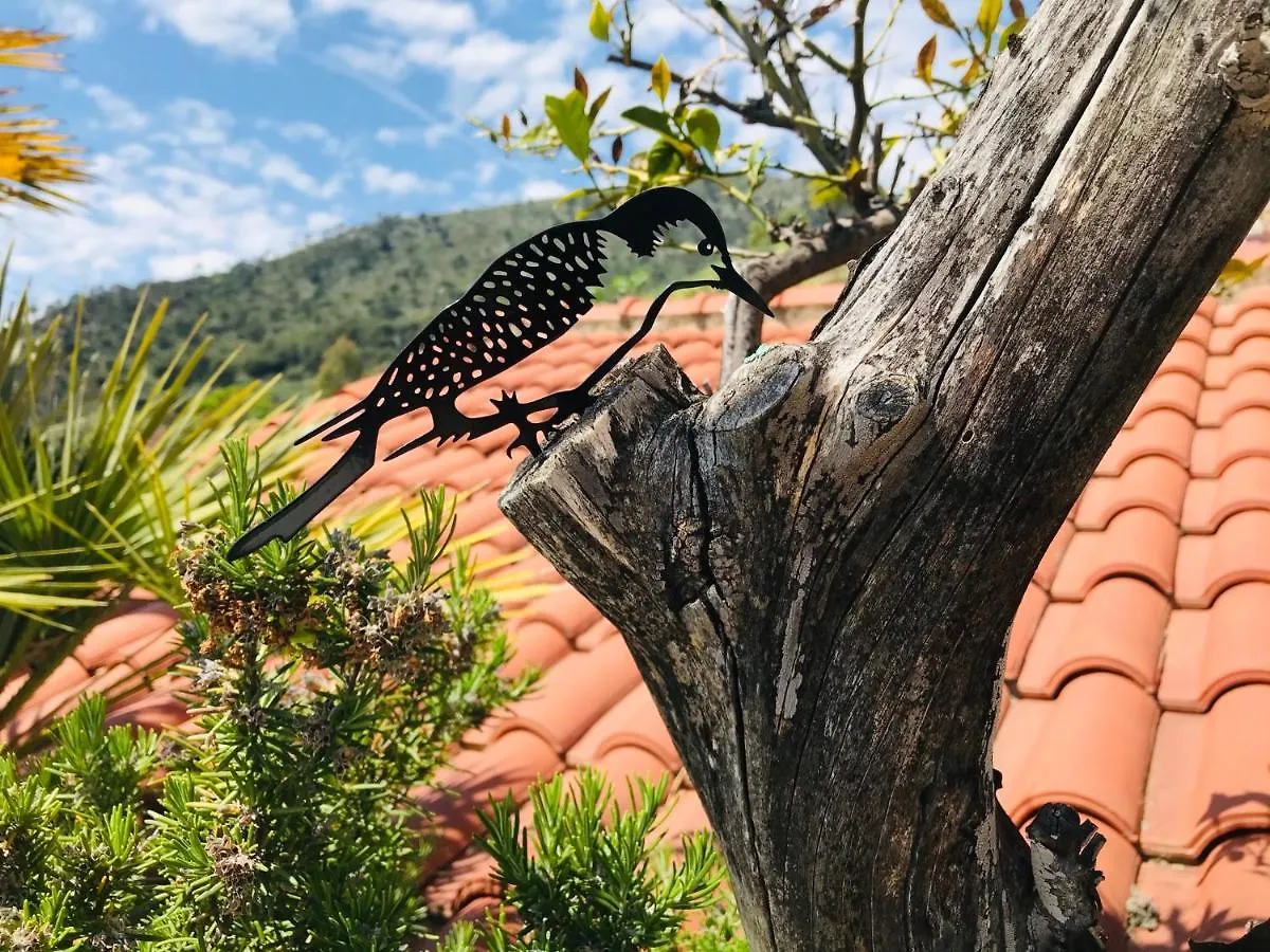 B&B La Terrazza Di Case Bastei Ventimiglia Italy
