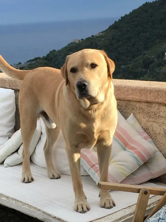 B&B La Terrazza Di Case Bastei Ventimiglia